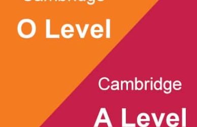 Home-online tutor for O-A level